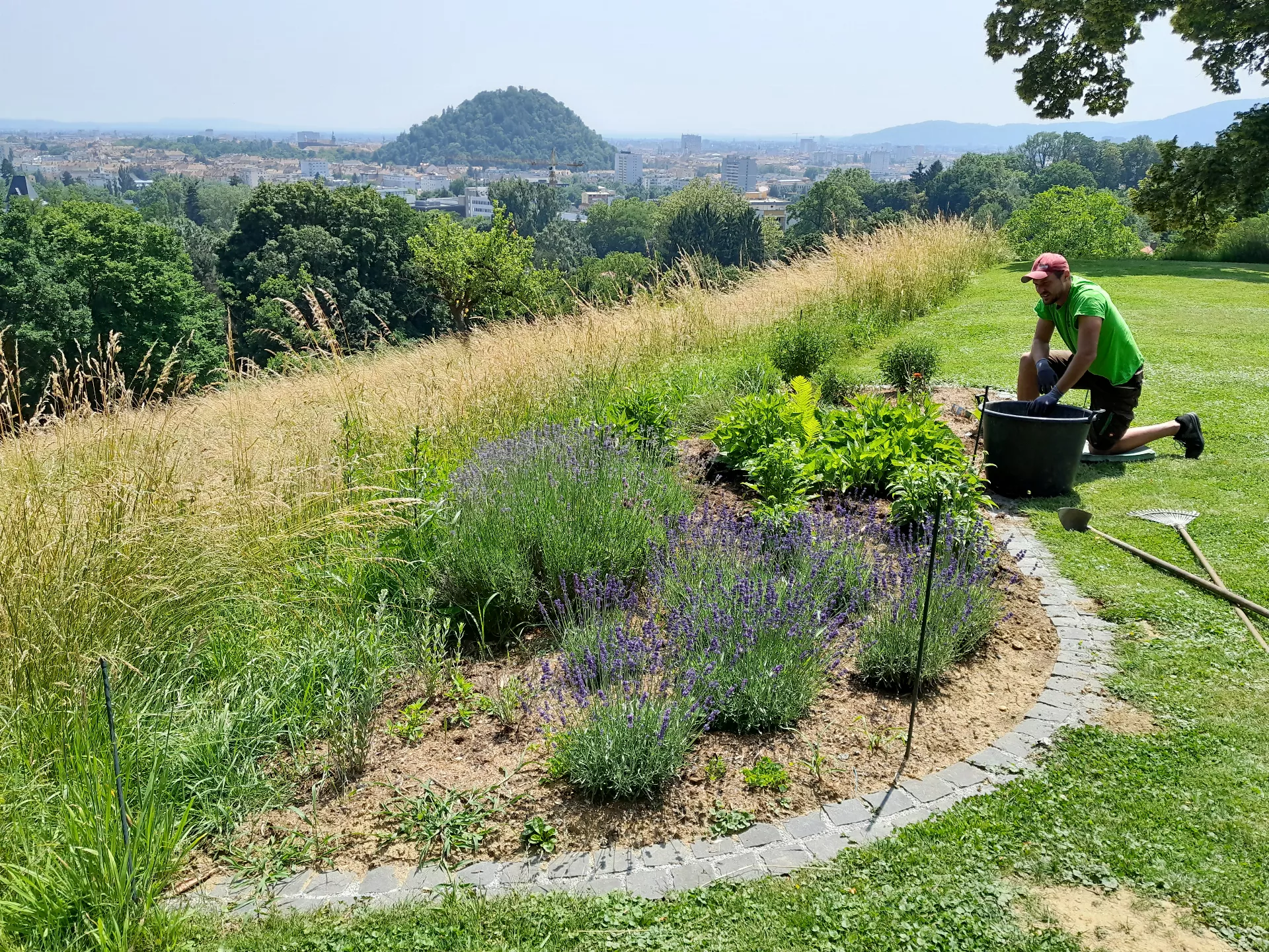 Ein Mann in einem grÃ¼nen Hemd mit einem Gartenschlauch