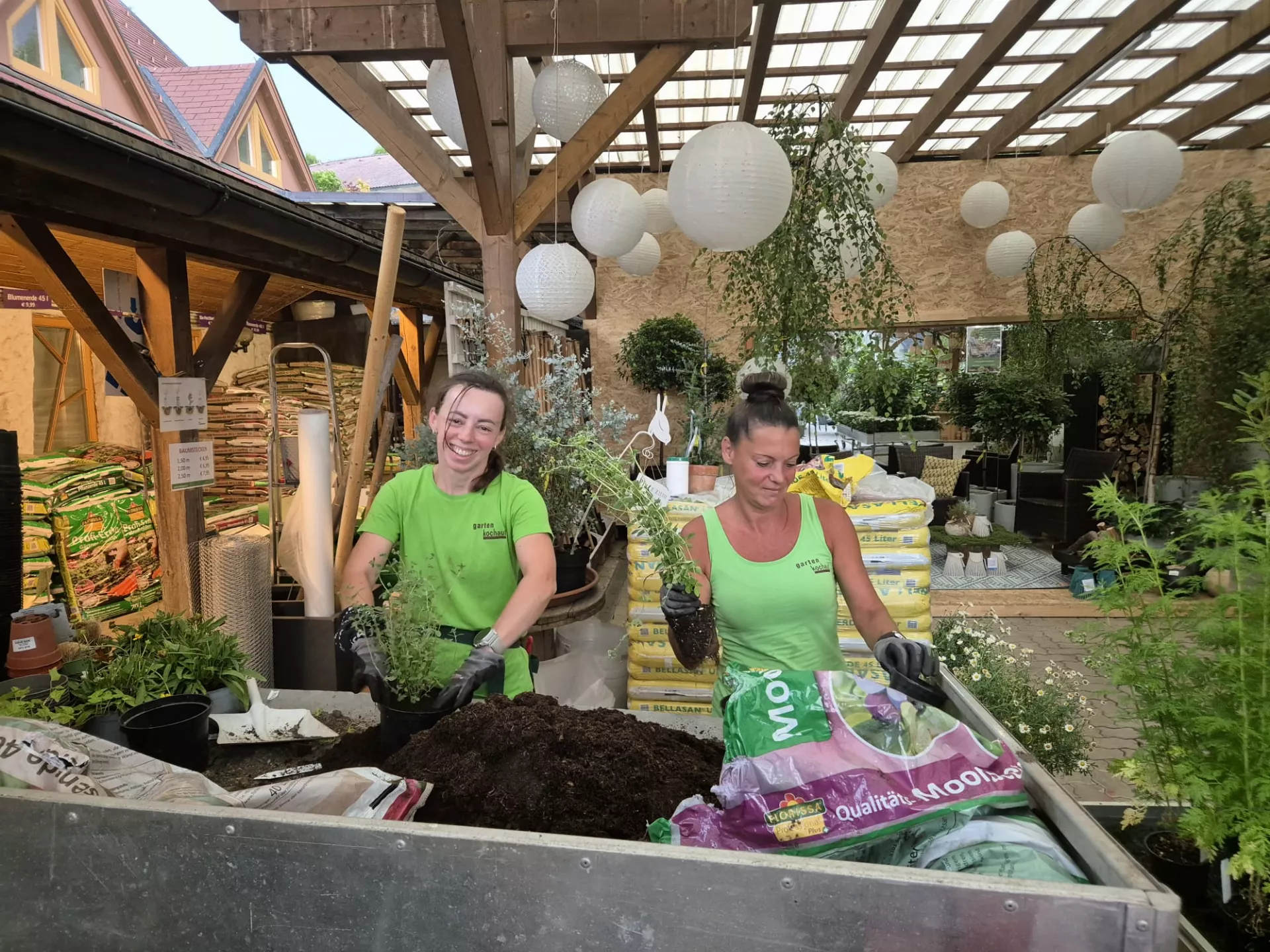 Mitarbeiter topfen Pflanzen um