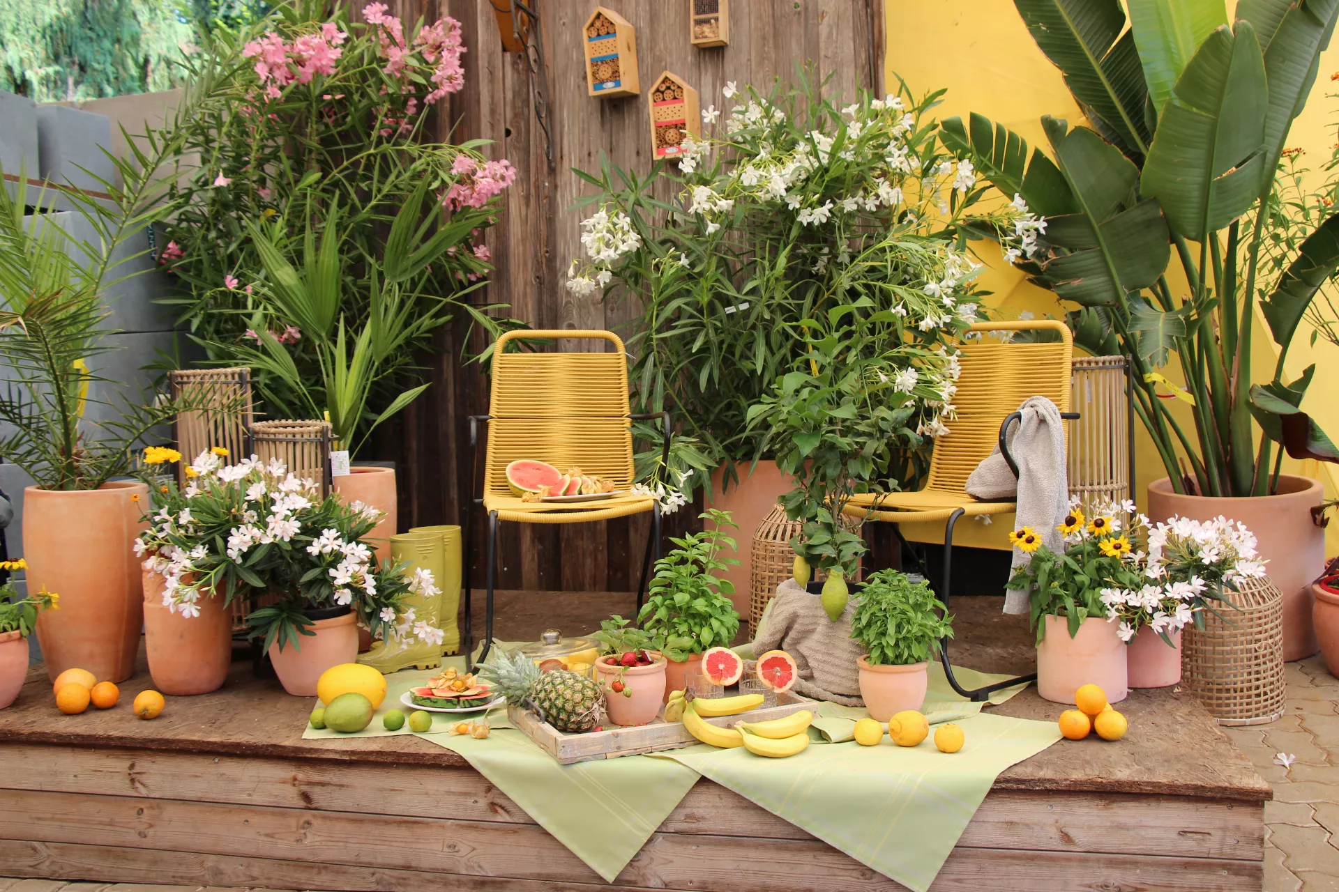 Ein Erlebnis fÃ¼r alle Sinne mit regionalen Produkten