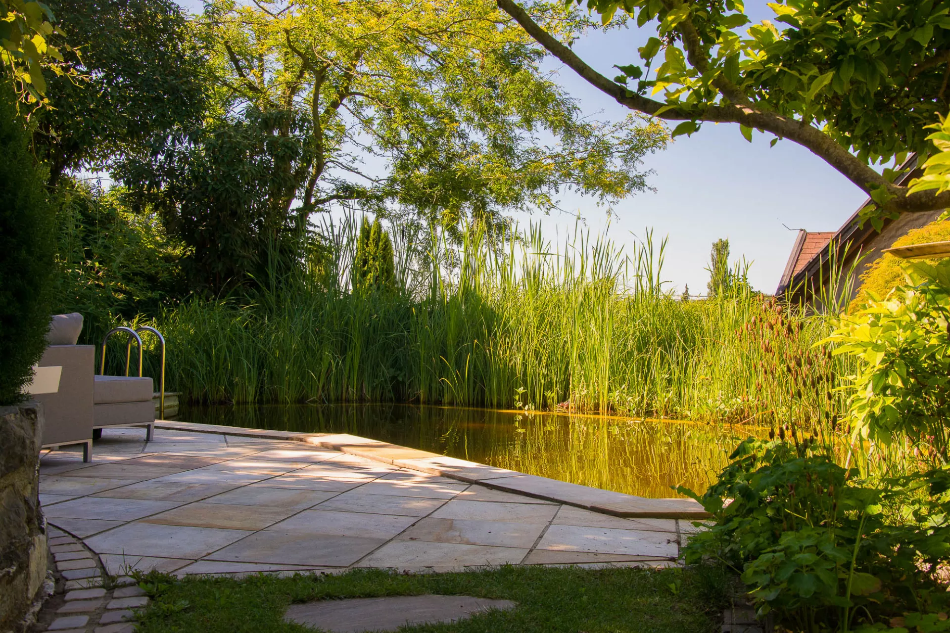 Gartengestaltung vom Profi - Schwimmteich