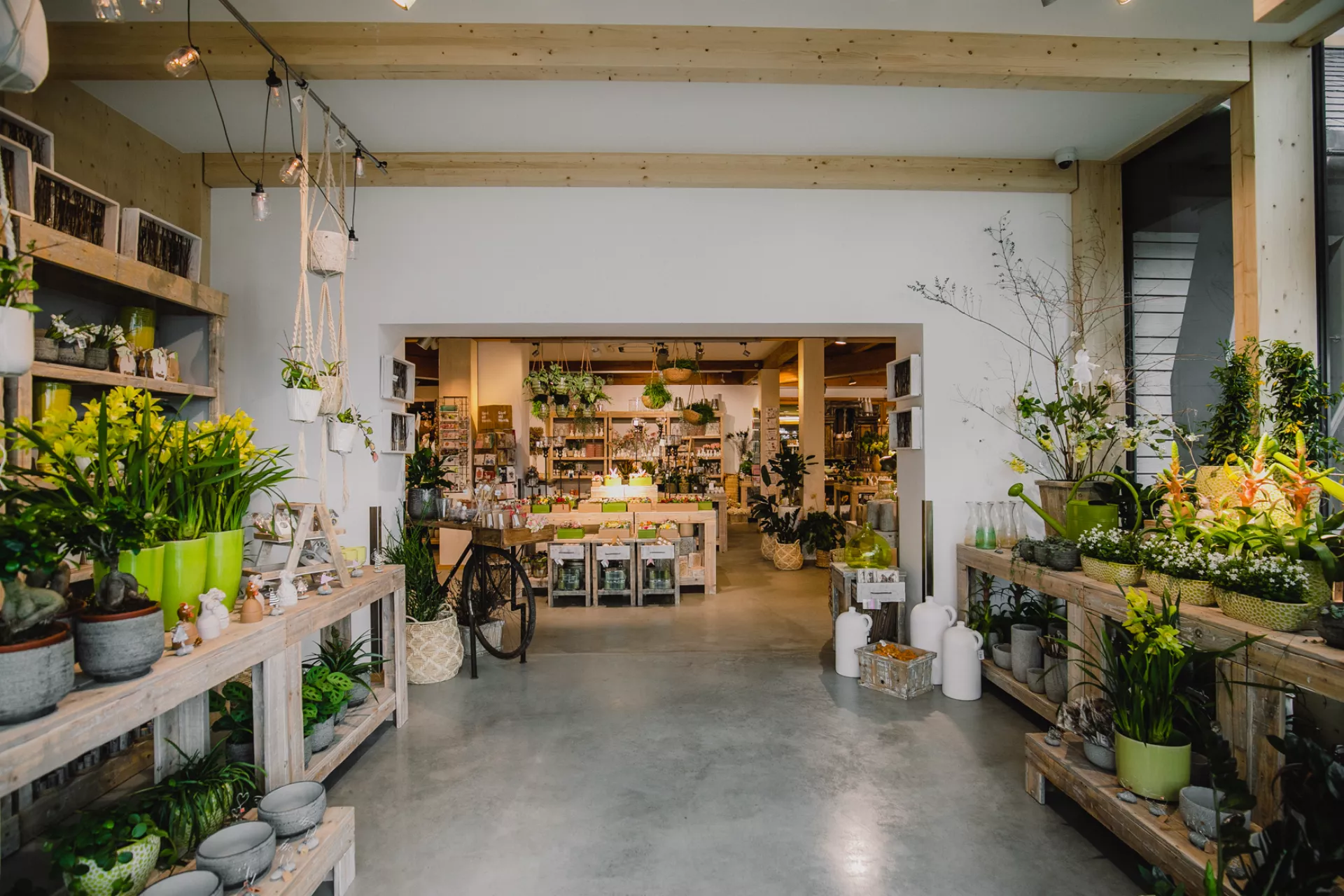 Indoor Pflanzenwelt - Unser Gartencenter von innen