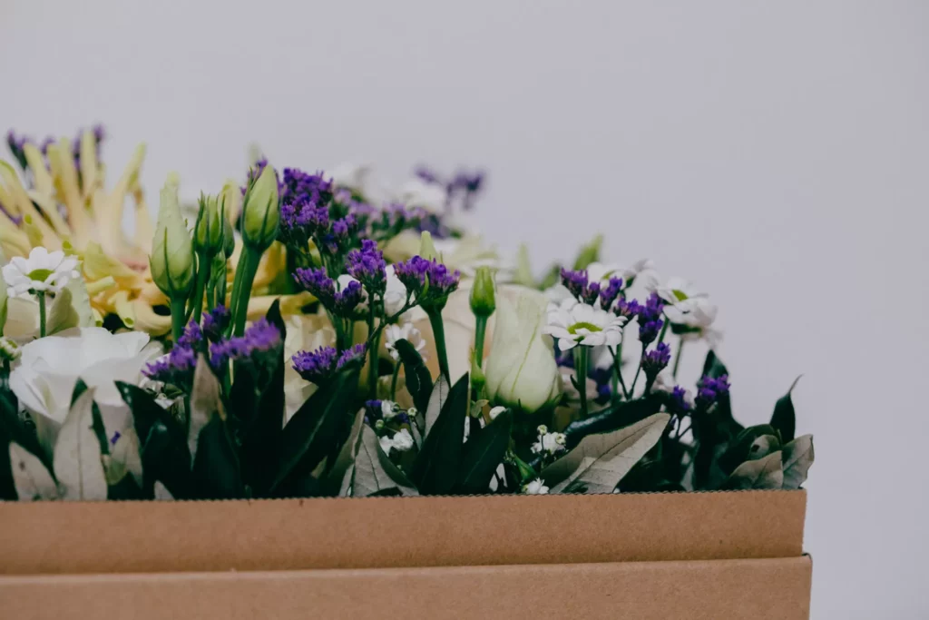 Eine Blumenbox mit violetten, weiÃŸen und gelben Blumen