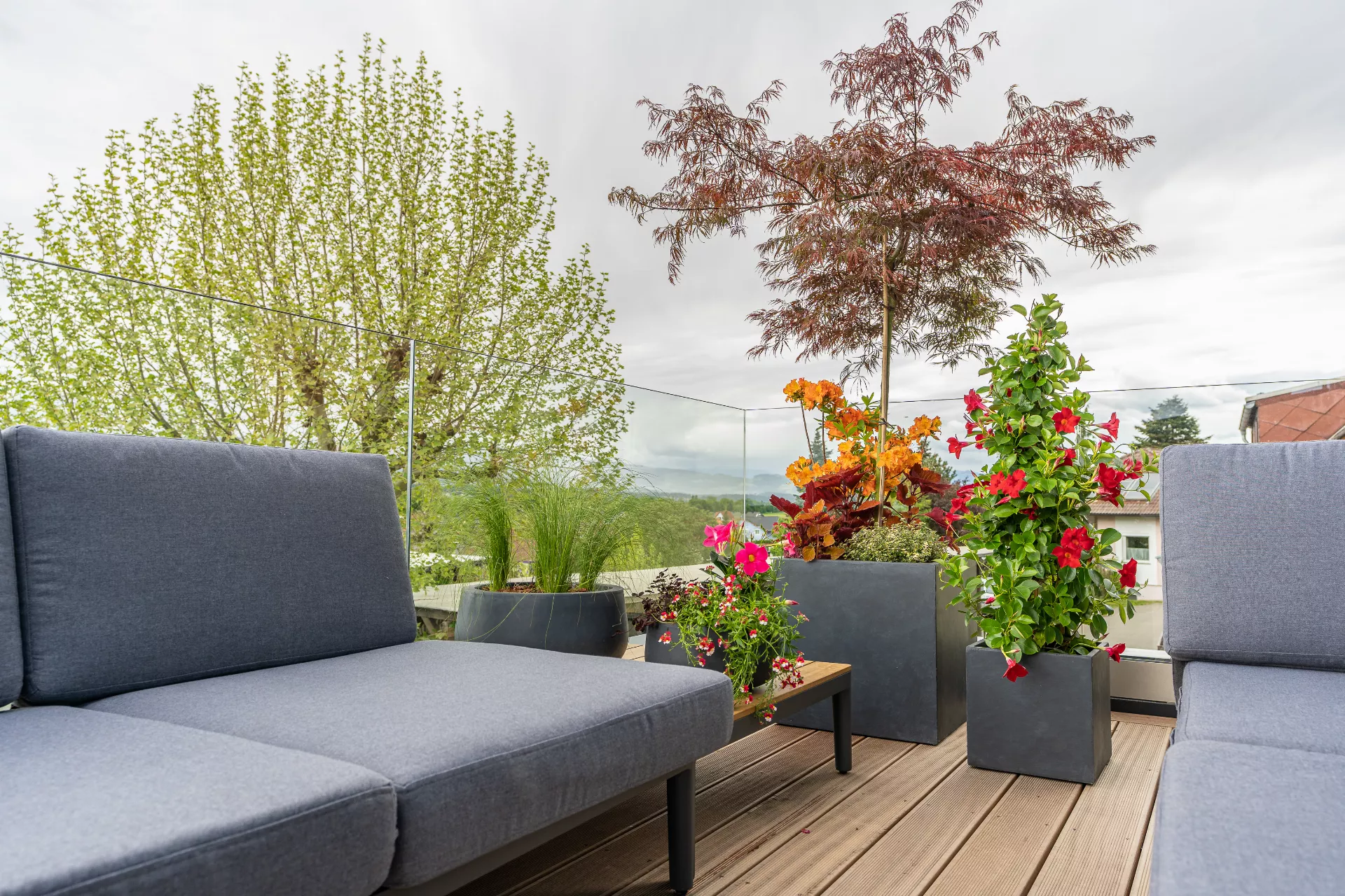 Eine Terrasse mit einer Couch und einigen Pflanzen.