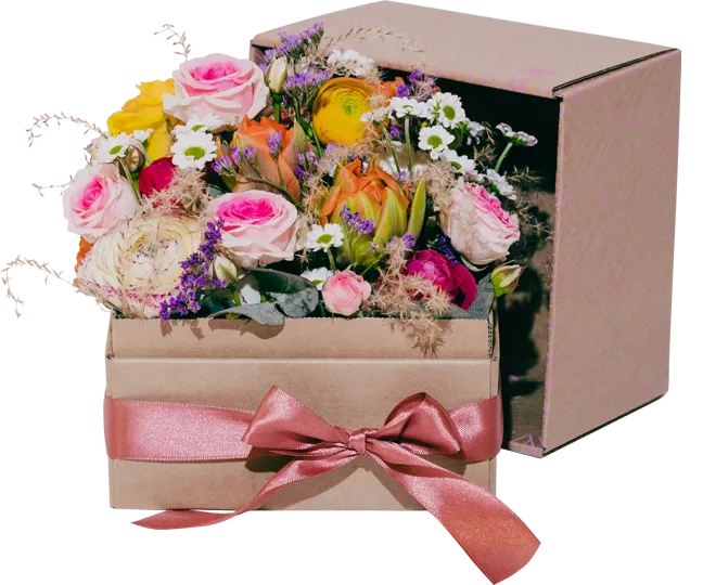 BlÃ¼hauf Blumenboxen - jede Box ein blÃ¼hendes Unikat